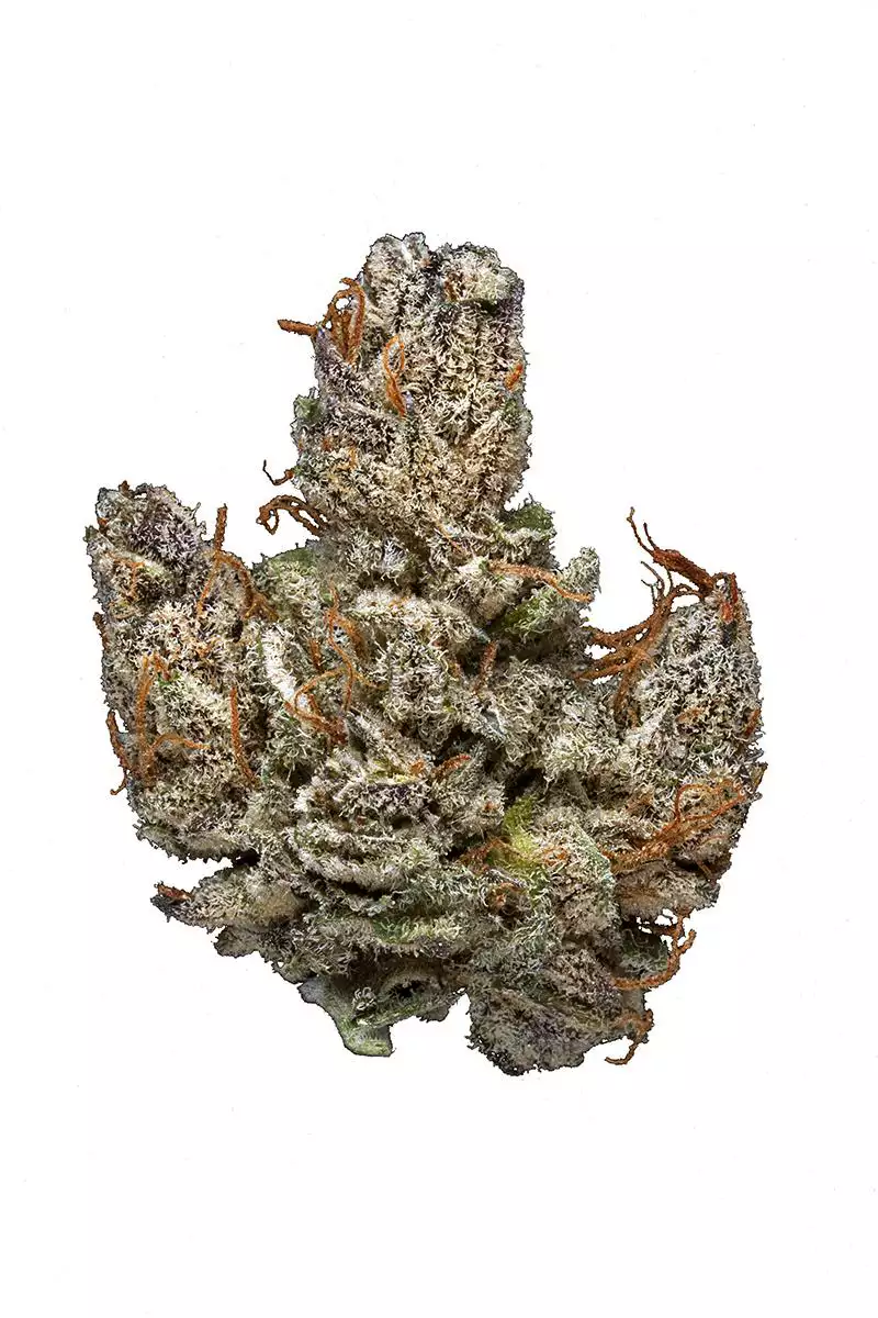 Hindu-Kush-0DF4