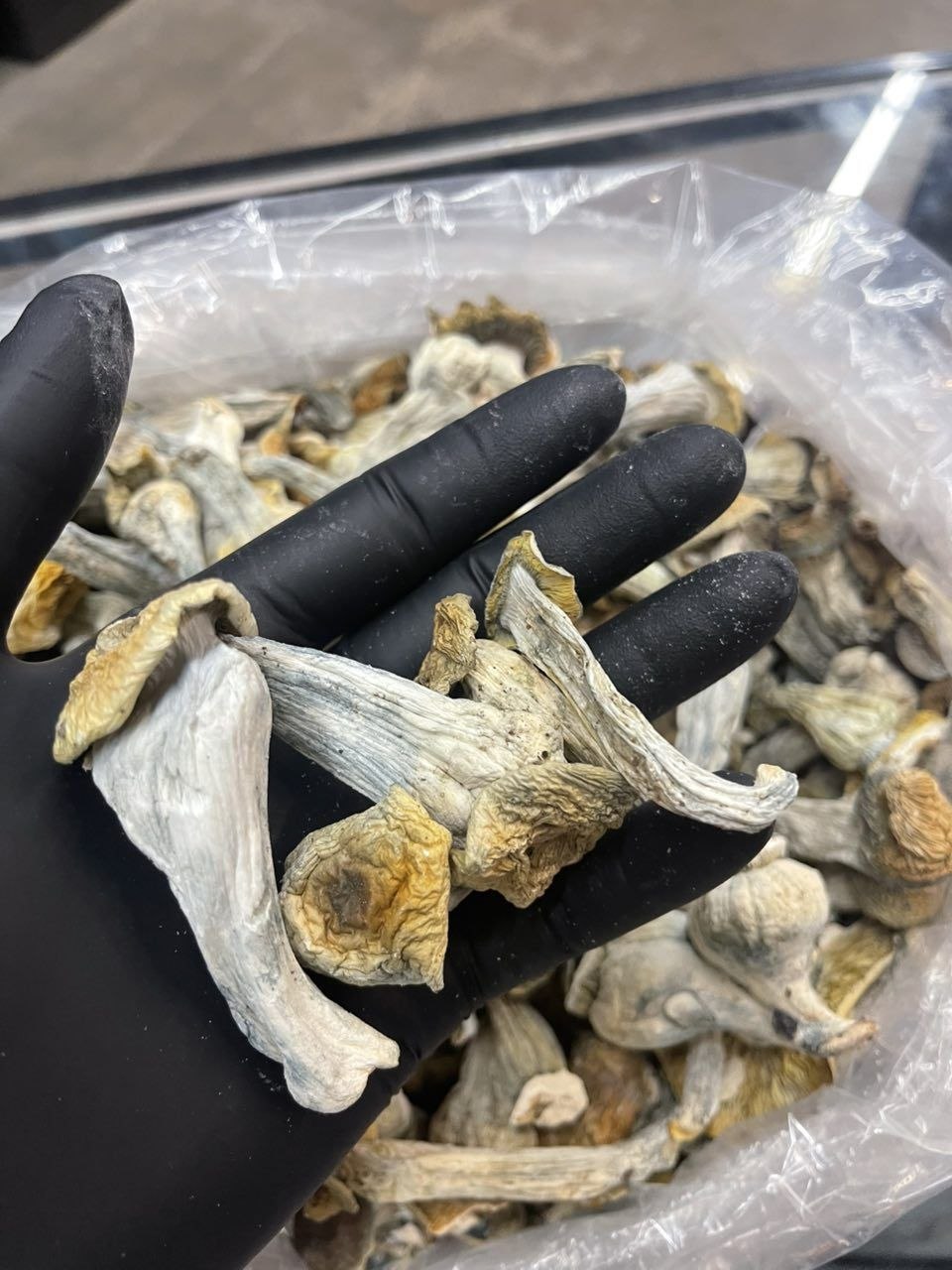 IMG_20260403_122038_865