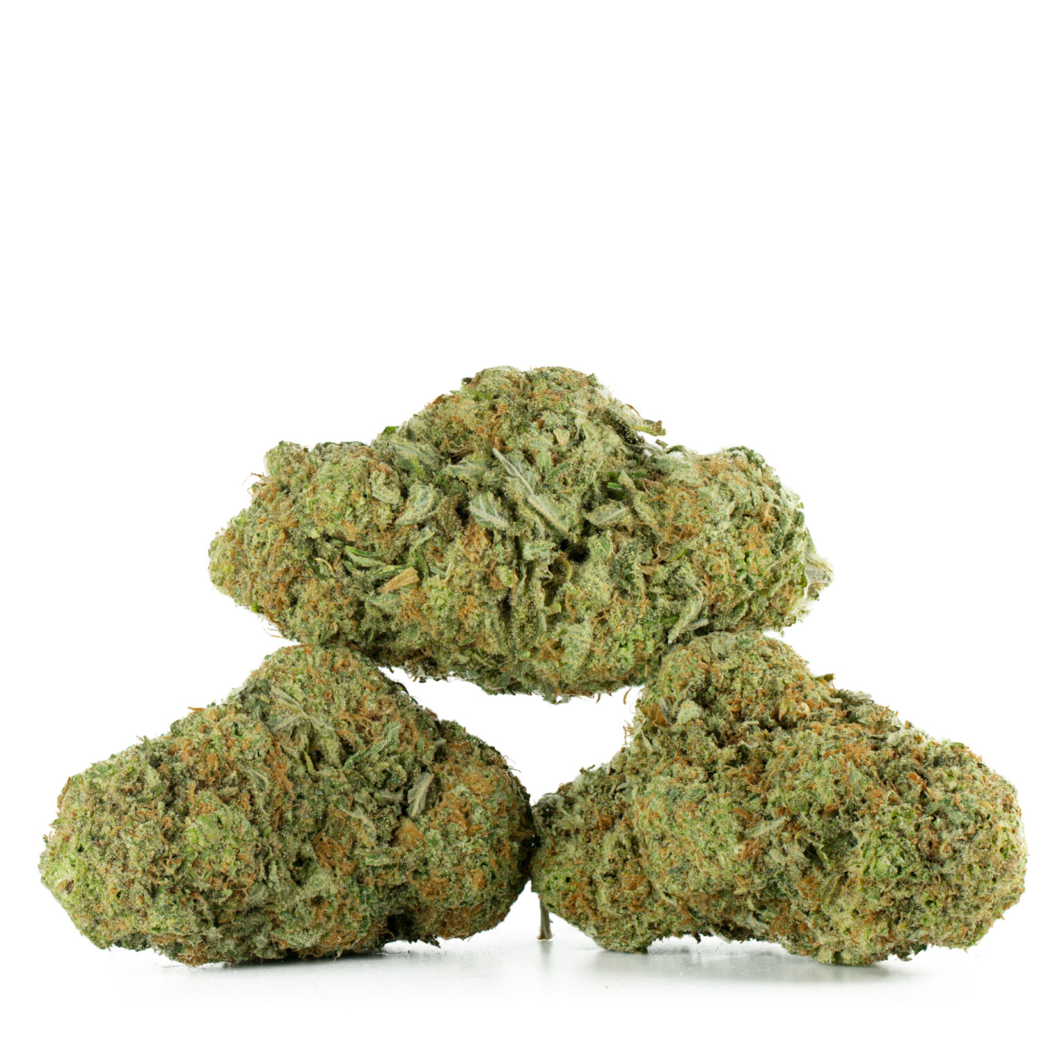 Jack-Herer-Strain-Multi-2-1536x1536
