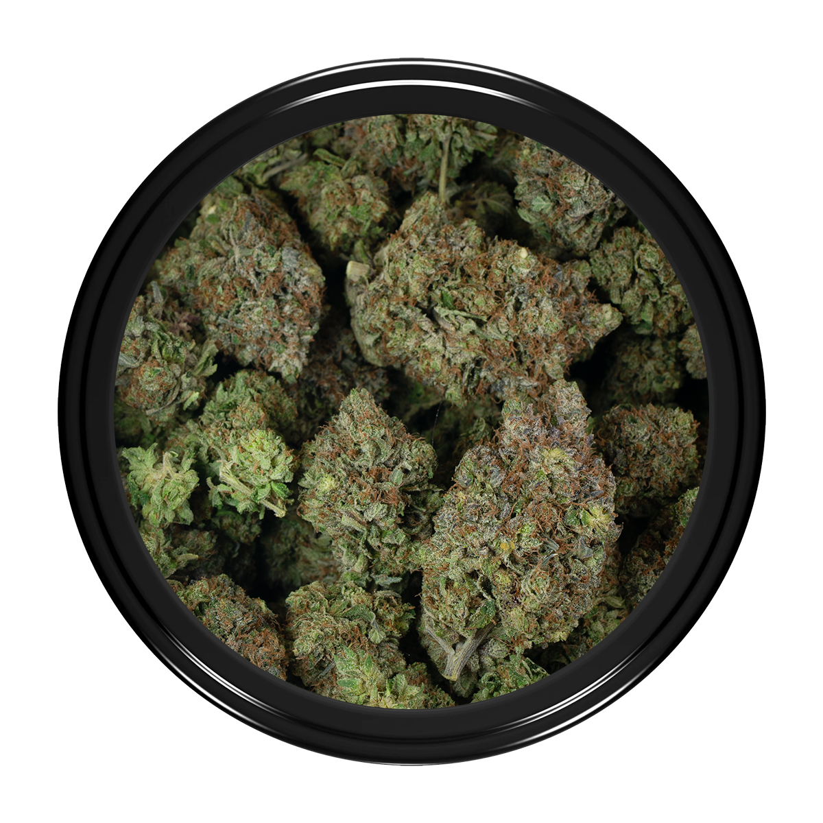 Northern-Lights-Strain-Bag-3
