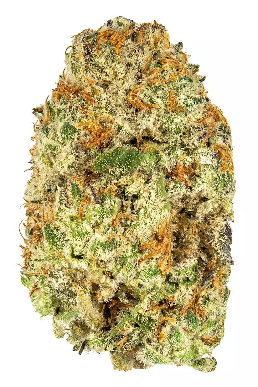 Oreoz-1